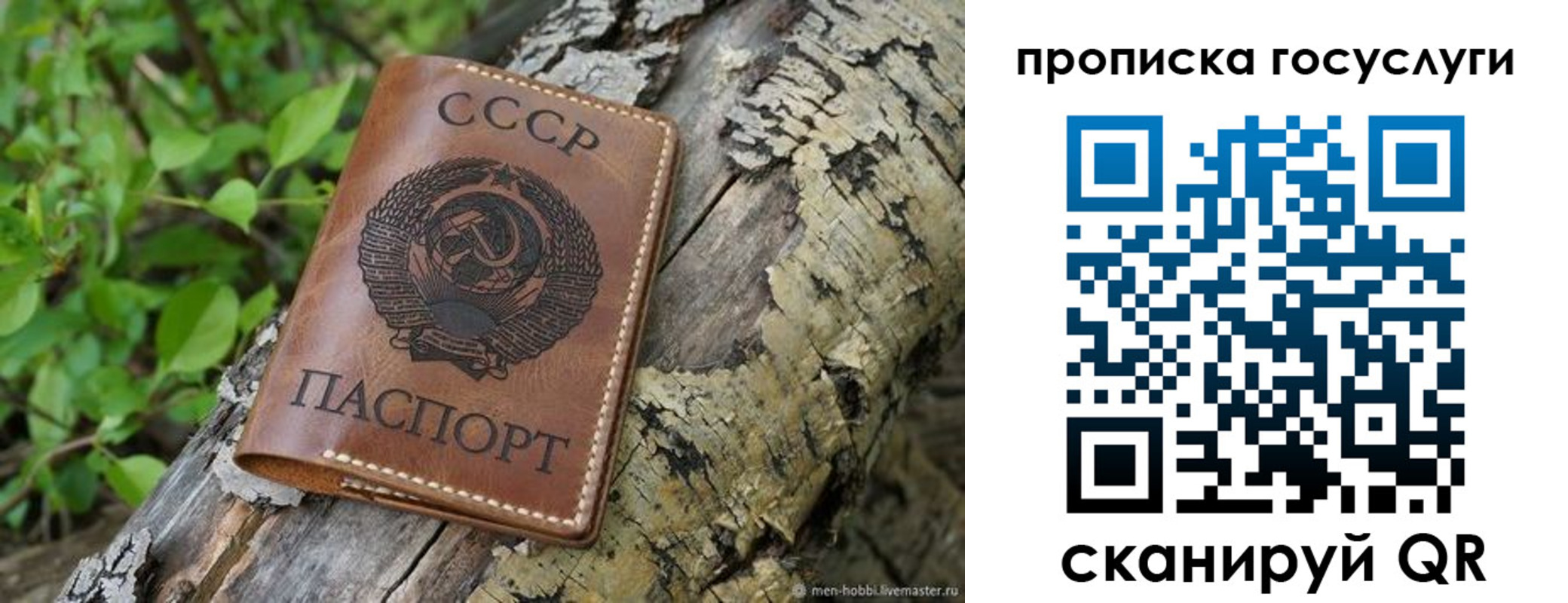 прописка 2025 в Воронеже